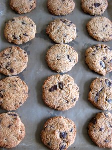 gluten free chocolate chip cookies